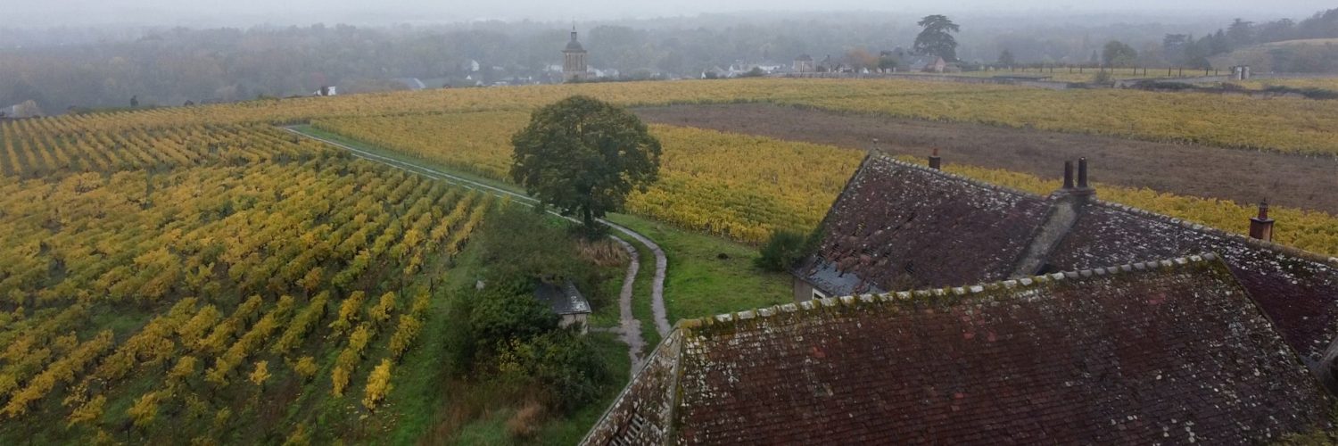 Drone 2 Vouvray