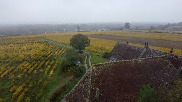Drone 2 Vouvray