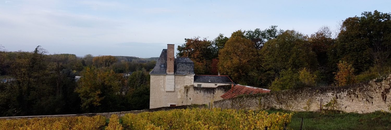 Drone 4 Vouvray