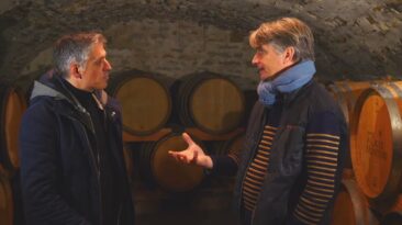 Comment se distingue les vins de Vézelay dans le Grand Auxerrois ?