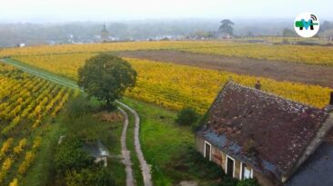 Miniatures YT Février(1) copie