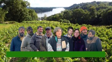 vignerons du mois