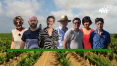 vignerons