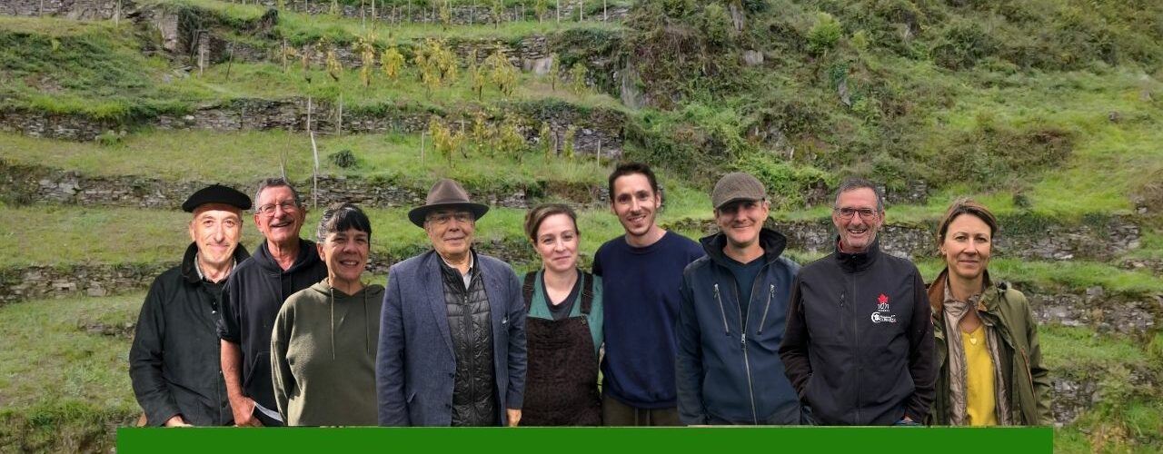 Miniatures youtube octobre(1)