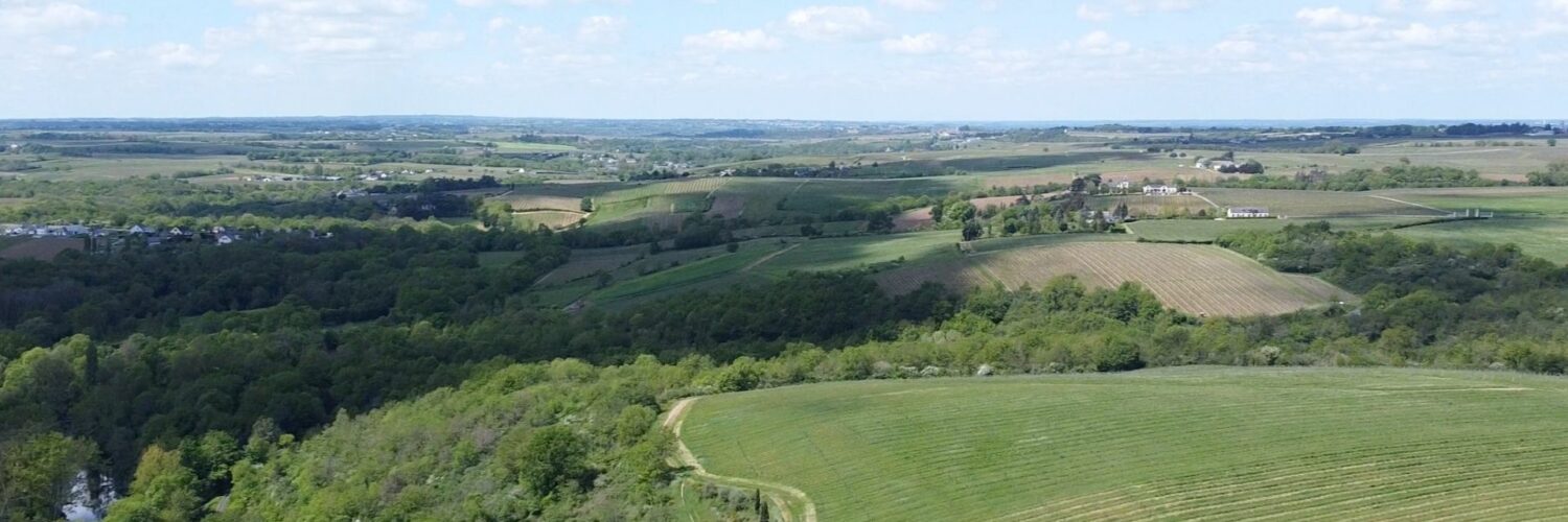 Miniature NL Décembre