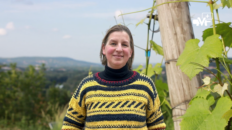 Miniature NL 0226 14