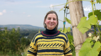 Miniature NL 0226 14