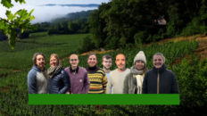 Moselle miniature site internet