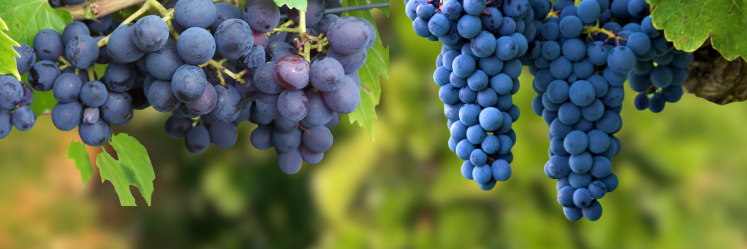 Miniature NL 0226 13