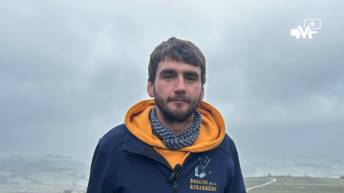 Miniature NL 0226 (6)