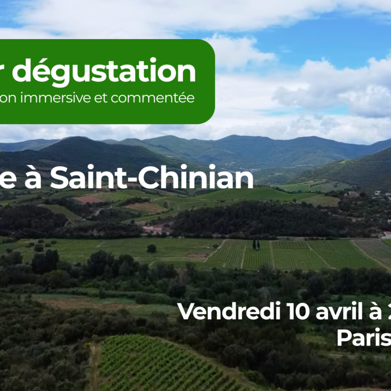 Atelier Médiavino Voyage à Saint Chinian