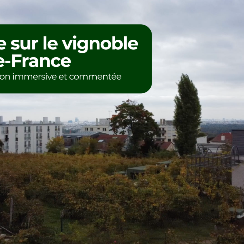 Atelier Médiavino Voyage sur le vignoble de l'Île de France