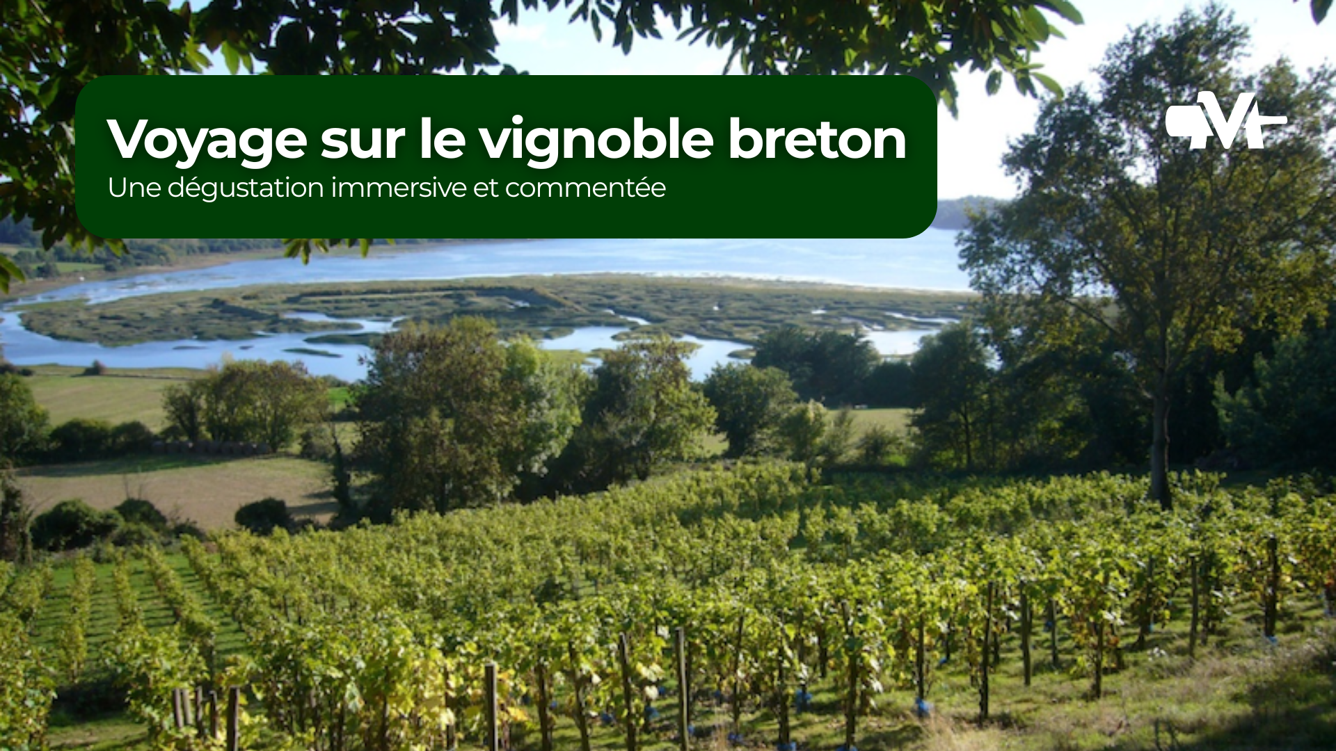 Atelier Médiavino Voyage sur le vignoble breton