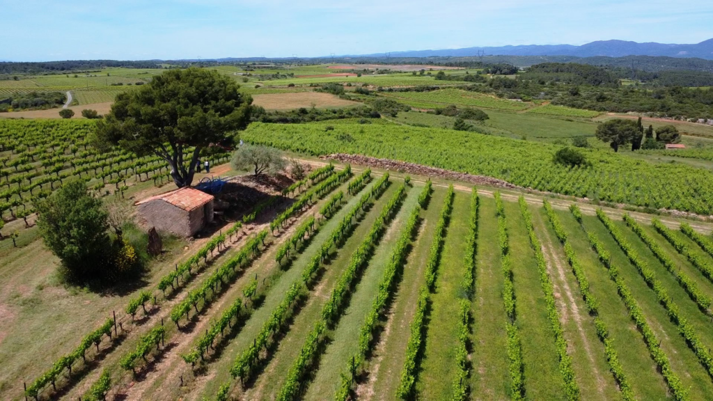 Miniature NL 0226 (8)