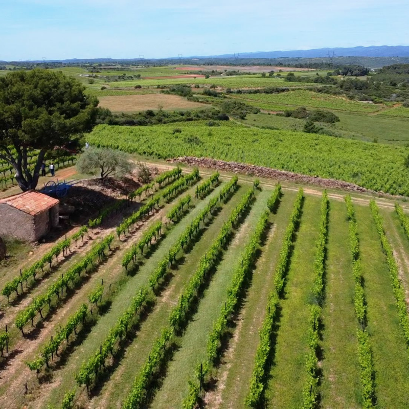 Miniature NL 0226 (8)