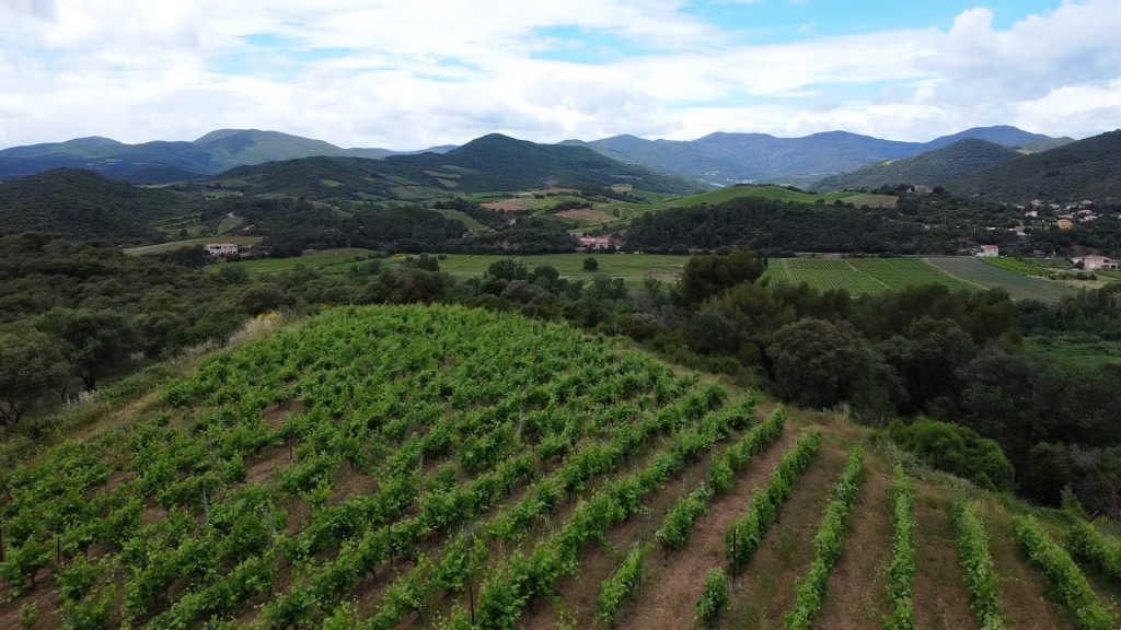 VUDUCIEL ST CHINIAN 5