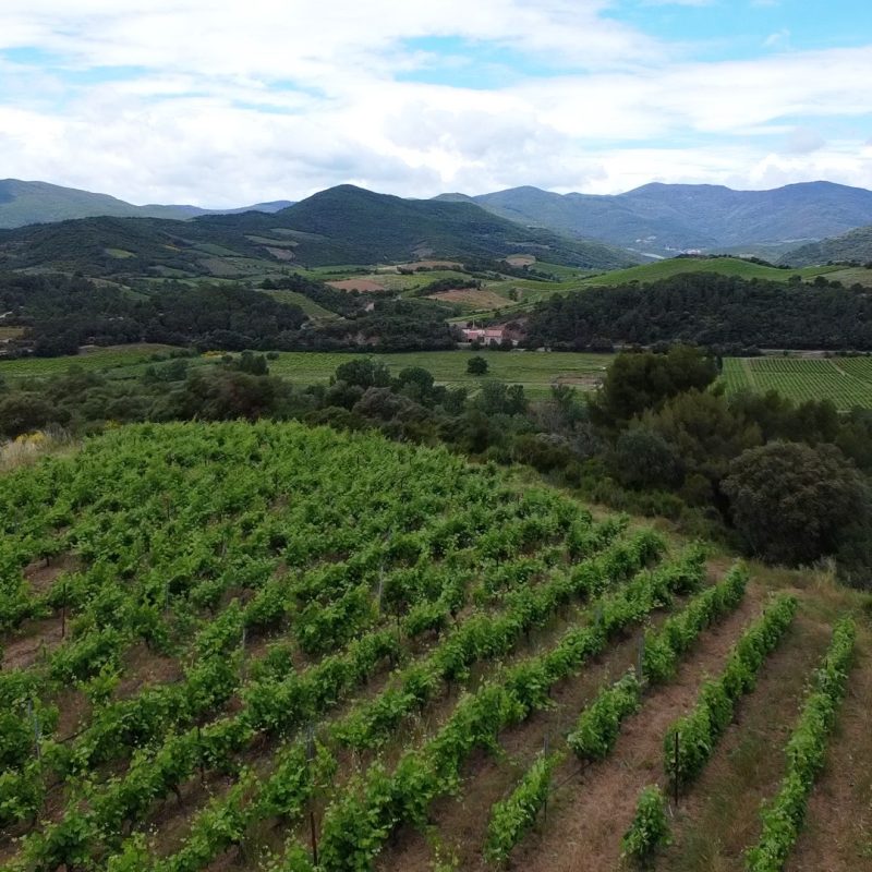 VUDUCIEL ST CHINIAN 5