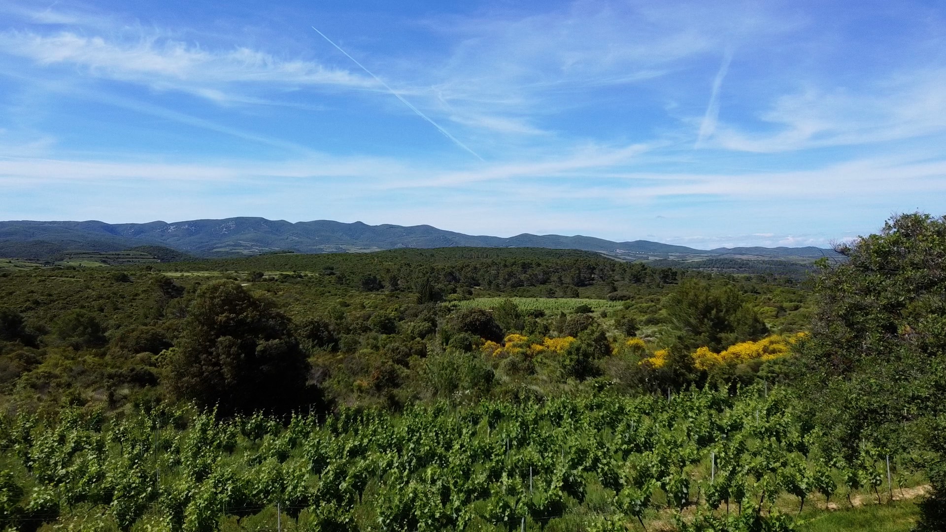 VUDUCIEL ST CHINIAN 6