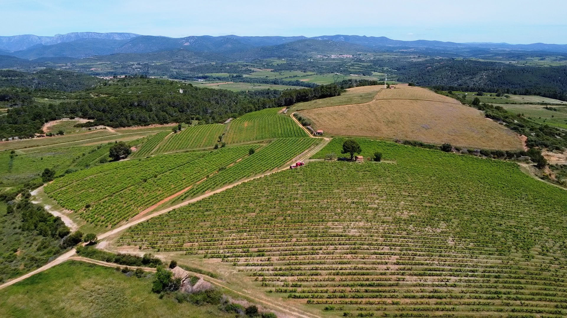 VUDUCIEL ST CHINIAN 8