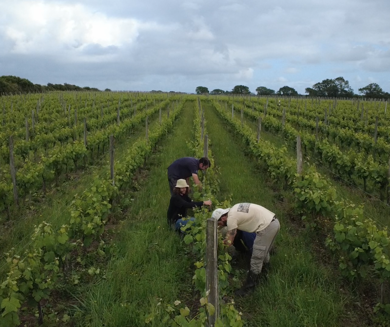 Capture d’écran 2026 05 27 à 15.10.16