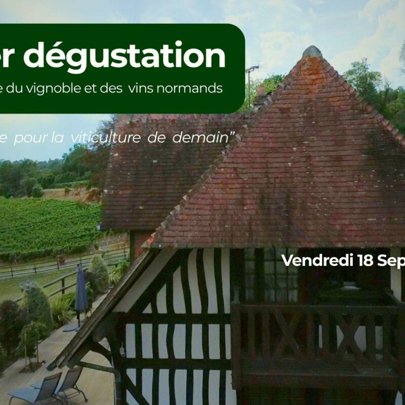 Le vignoble et les vins normands