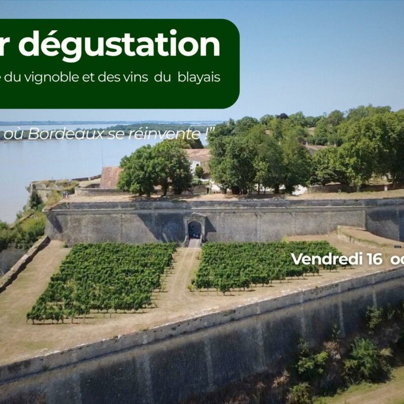 Le vignoble et des vins du blayais